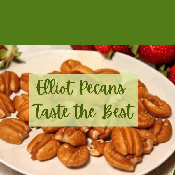 Giving a Pecan Gift? Taste Matters More Than Size