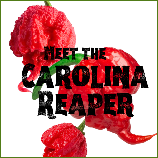 The Reaper Challenge: Will You Slay the Reaper or be a Weeper?